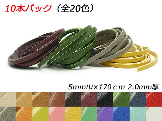 【10本パック】ドエリアレース 全20色 5mm巾×170cm 2.0mm厚 10本入【メール便選択可】 [レザークラフトぱれっと] レザークラフト革ひも レース ヌメ革レース