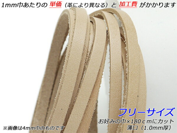 ɥ졼  ե꡼ ʥ ߤζҡ180cm 1.0mm 1[쥶եȤѤä] [ư] 쥶եȳפҤ 졼 ̥ץ졼