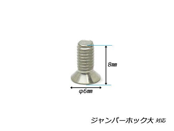 コンチョネジ ニッケル φ6×8mm 10ヶ タイプB【メール便選択可】 [レザークラフトぱれっと] レザークラフトコンチョ 替えネジ パーツ 2