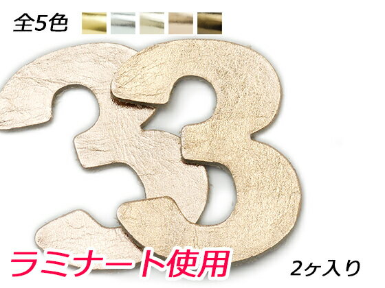 ナンバーチャーム 大 3 全5色 40×32mm 約1.0mm 2ヶ【メール便選択可】 [レザークラフトぱれっと] レザークラフトレザーチャーム ラミナート使用