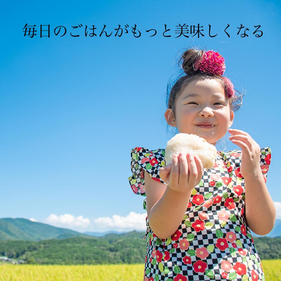 令和7年産 新米 玄米 30kg あきたこまち 60kg 90kg 送料無料 産地直送 秋田県産 大容量 米 お米 ご飯 ブランド米 大粒 おにぎり おこめ ごはん 食品 秋田県