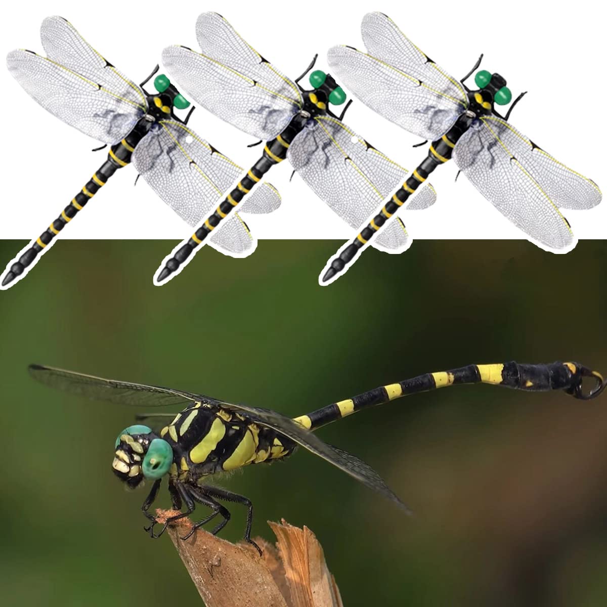 おにやんま オニヤンマ モデル 天敵で虫除けトンボ 蜻蛉 モデル 虫対策 12cm 本物 等身大 取付簡単 昆..