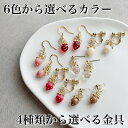 いちごピアス・イヤリング ストロベリー 春ファッション スイーツ デザートモチーフ 果物 フルーツ 金属アレルギー対応 ハンドメイド 揺れるピアス チタン 樹脂 おしゃれピアス