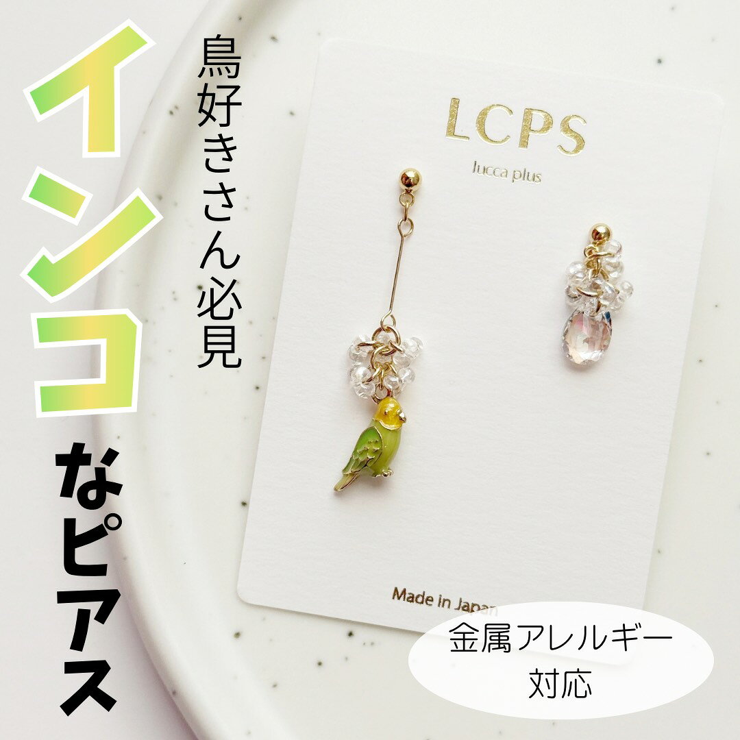 楽天市場】インコ（ピアス｜レディースジュエリー・アクセサリー