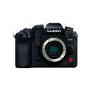  Panasonic ミラーレス一眼レフカメラ LUMIX DC-GH6 ボディ単体