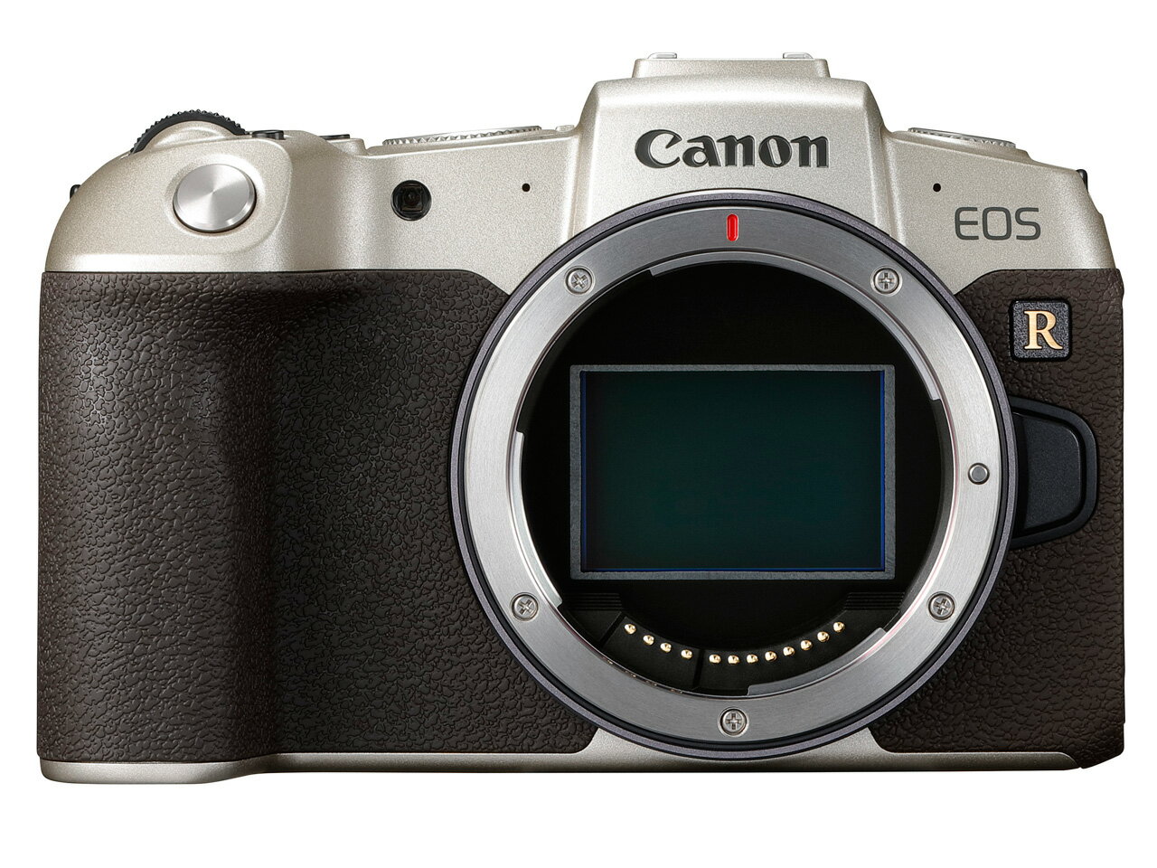 【在庫あり】CANON(キヤノン) EOS RP(ゴールド) マウントアダプターSPキット