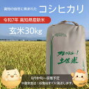 【お盆~発送予定】コシヒカリ 高知県産 2025 新米 玄米30kg 高知コシヒカリ 米 こしひかり 送料無料