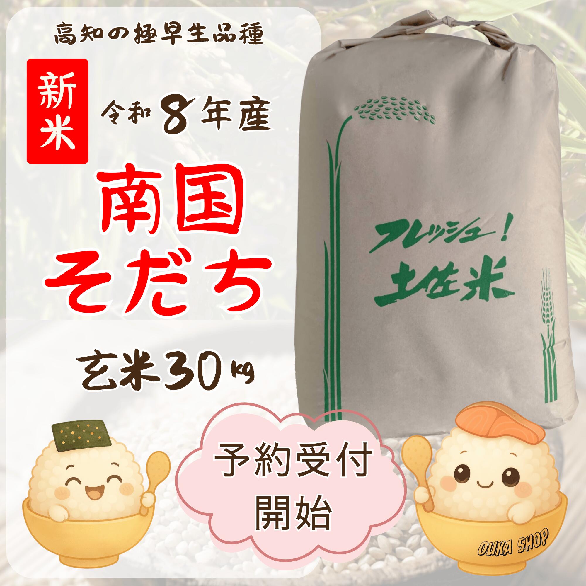 楽天市場】玄米 30kg 高知県の通販