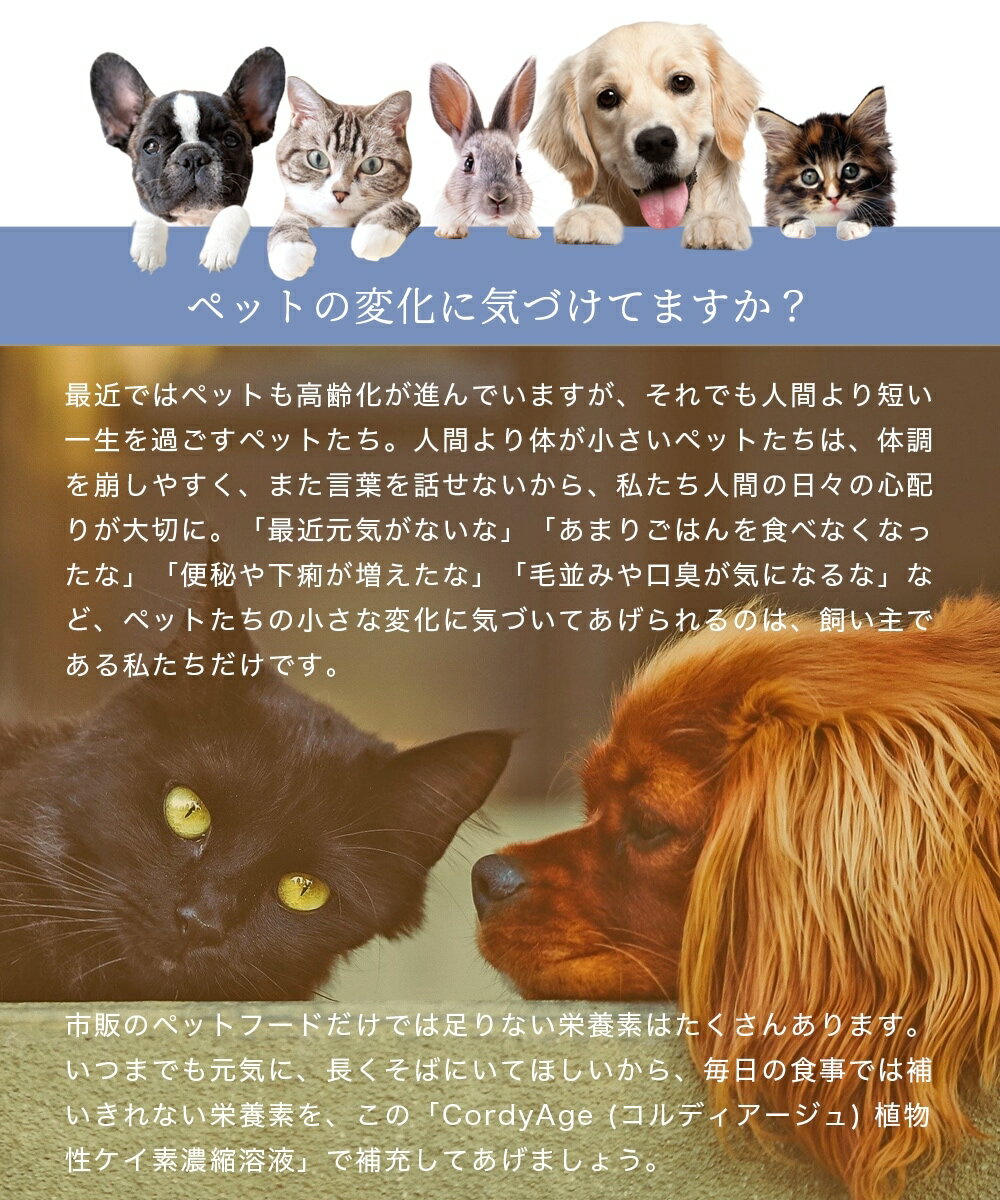 ＼ 楽天ランキング 1位 ／ ★3本セット 食欲 冬虫夏草 シリカ原液 犬猫 サプリ 犬用 猫用 サプリメント コルディアージュ 75ml（約30日分） 免疫力 免疫 の健康を維持 老犬 老猫 シニア ねこ いぬ ネコ 元気度 高める うさぎ 兎 兎 免疫維持 ペット用 シリカ botanicalkeiso 3