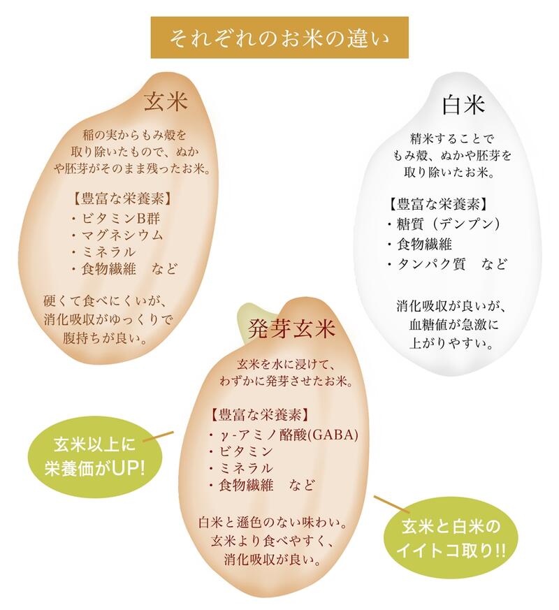 ȯ��ȯ�긼�� 300g ���� ȯ�ڸ��� ȯ�긼�� ȯ���� ȯ�� ȯ�� ���� �� ���� ���� �������å� �������åȿ� �������åȿ��� ���� �򹯿��� ���� �� ���� �ò� �ۼ� �ò��ۼ� ���� ���Ƥ��� ���Ƥ��Ϥ� �������� ȯ�ڿ��� ����� ���ե� �ץ쥼���