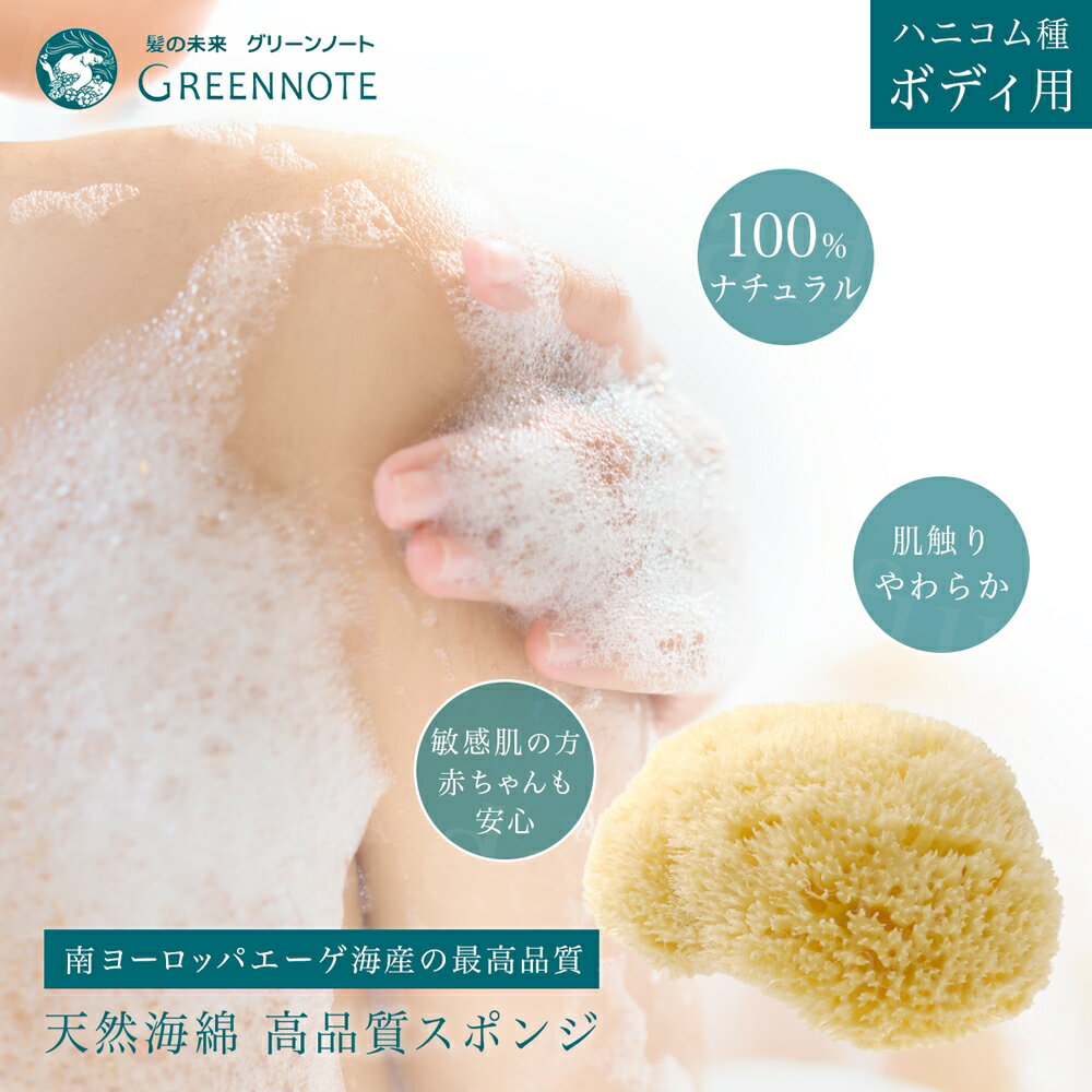 【正規品 公認店】グリーンノート 天然海綿 スポンジ大 ボディ用 ハニコム種 ボディスポンジ 高品質 海綿 スポンジ 敏感肌 乾燥肌 デリケート肌 子供 赤ちゃん 吸水性 低刺激 うるおい ボディケア ボディ 男性 女性 男 女 プレゼント ギフト 贈り物