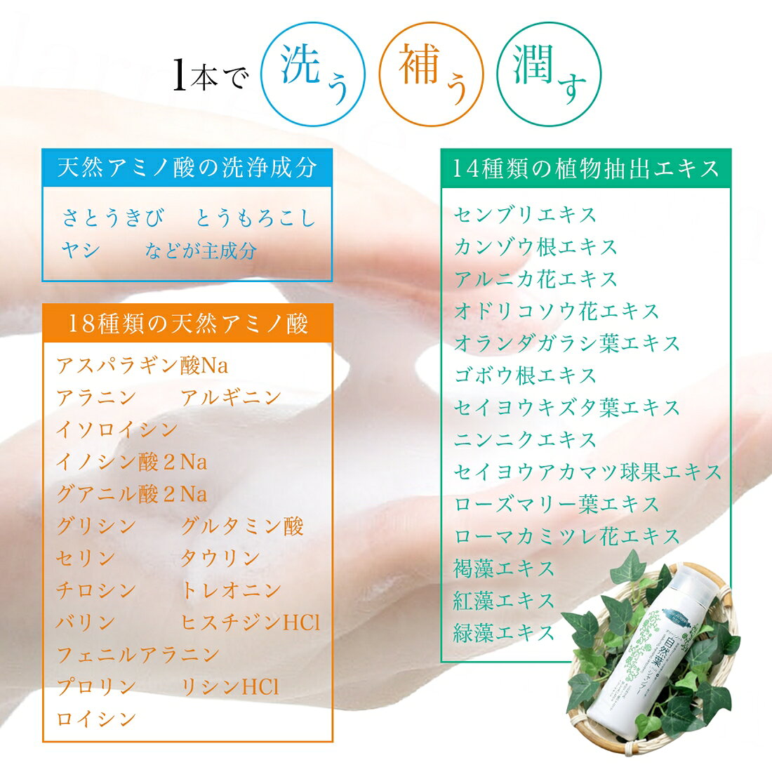 【正規品 公認店】グリーンノート 自然葉シャンプー 300ml シャンプー トリートメント不要 アミノ酸 ヘアケア ヘアシャンプー トリートメント効果 保湿 ハリ ツヤ 低刺激 敏感肌 フケ かゆみ パサつき 乾燥 硬毛 くせ毛 猫毛 毛量 美容 ギフト プレゼント 贈り物 ldpr-10000283 インナービューティーラボ【IBL】 サンプル画像3