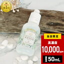 ＼ 楽天ランキング 1位 ／★高濃度10,000ppm 携帯