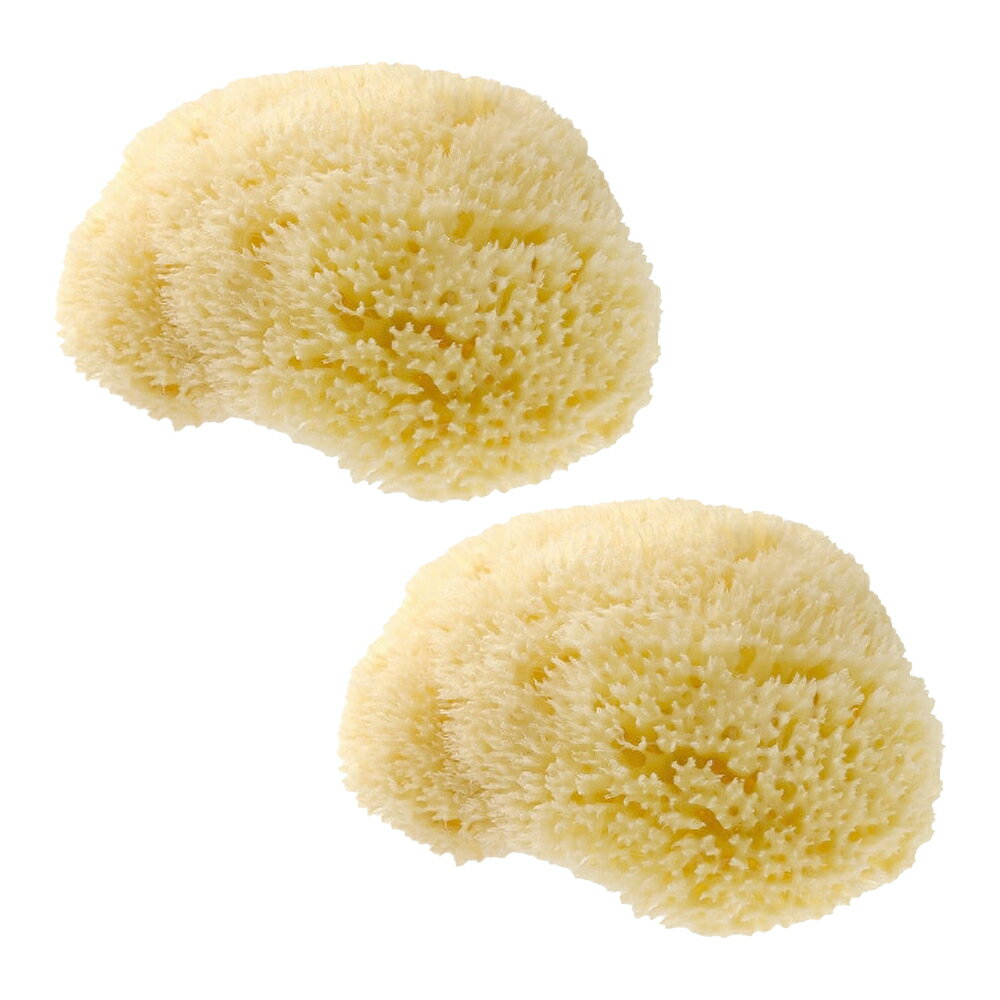 【2個セット】【正規品 公認店】グリーンノート 天然海綿 スポンジ ボディ用 ハニコム種 ボディスポンジ 高品質 海綿 スポンジ 敏感肌 乾燥肌 デリケート肌 子供 赤ちゃん 吸水性 低刺激 うるおい ボディケア ボディ 男性 女性 男 女 プレゼント ギフト 贈り物
