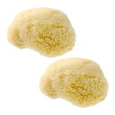 【まとめ買い】【2個セット】【正規品 公認店】グリーンノート 天然海綿 スポンジ ボディ用 ハニコム種 ボディスポンジ 高品質 海綿 スポンジ 敏感肌 乾燥肌 ...