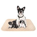 ULIGOTA ペットシーツ 洗える 猫 犬用 おしっこパッド ペット用 トイレ下敷きマット 速乾 洗える ポリエステル 大判サイズ 多頭飼いに最適(ベージュX...