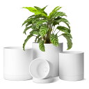 T4U 植木鉢 プラスチック プランター 4点セット 受け皿付き 10/12.5/15/17.5cm 沢山の排水穴 円形 現代風 フラワーポット 室外室内 観葉...