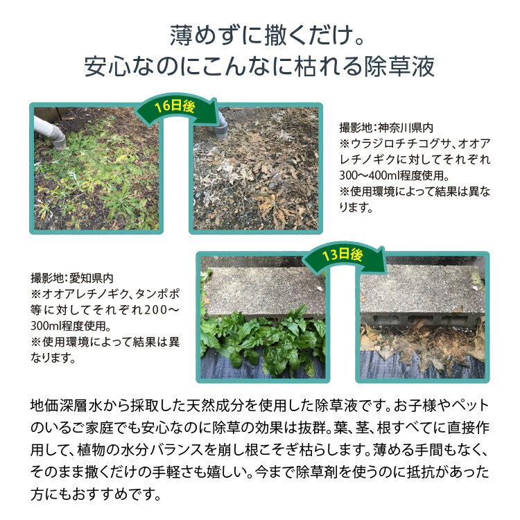 ＼最大1000円offクーポンも！／ドリーム 庭師さんのミネラル除草液 2L【あす楽対応】 除草剤 無農薬 人畜無害 液体 雑草駆除剤 雑草対策 子供やペットにも安心 安全 非農耕地用 3