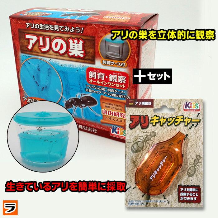 ＼本日限定のクーポンも ／アリの巣観察キット アリキャッチャー付き アリ 飼育 キット アリの巣 観察 夏休みの宿題 夏休み 自由研究 蟻飼育セット 3Dアリの巣 アリ伝説 アリ捕獲器 アリ飼育観…