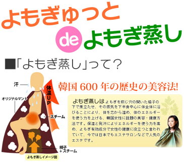 よもぎ蒸しパッド【送料無料】NEWよもぎゅっと 40枚入り(20枚×2箱)【正規品】【あす楽対応】≪ 自宅で よもぎむしが出来る、よもぎ蒸しパット!! ヨモギ蒸しナプキン / よもぎパット ≫【 よもぎナプキン よもぎ蒸しシート 】【即納】