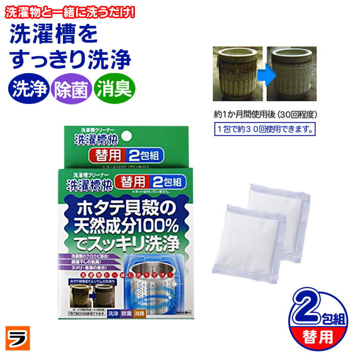 洗濯槽クリーナー 洗濯槽快 2包組 �