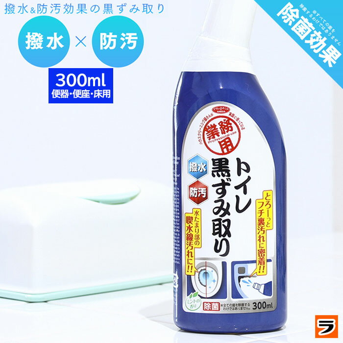 【あす楽対応】トイレ用洗剤 業務用 トイレ黒ずみ取り 300ml 本体 中性 トイレ洗剤 トイレ 黒ずみ 汚れ落とし 黒カビ 汚れ防止 ふち裏 除去