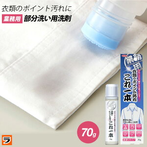 ＼今だけ限定のクーポンも！／【定形外出荷】クリーニング屋さんの衣類のポイント汚れ これ一本 70g 部分汚れ用洗剤 部分洗い 洗剤 業務用 洗濯洗剤 クリーニング屋さん 直塗り スティックタイプ 液体 ポイント洗い 襟 袖 シミ 食べこぼし 泥汚れ