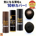 増毛スプレー【送料無料】newヘアフォロー 選べる3色【正規販売店】生え際やつむじはげ、分け目部分の ...