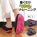 履くだけ ダイエットスリッパ 体幹筋シェイプスリムサンダル 体幹トレーニング スリッパ ダイエットサンダル レディース シェイプアップサンダル 体感スリッパ 室...