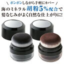 ＼最大1000円offクーポンも！／白髪かくし パウダー 胡粉美人ヘアファンデ 10g ブラック/ダークブラウン ミラー付き【あす楽対応】 白髪隠し 部分染め 増毛パウダー 頭頂部 生え際 分け目 髪 ボリュームアップ 髪に優しい ヘアパウダー 【日本製】【ポイント消化】