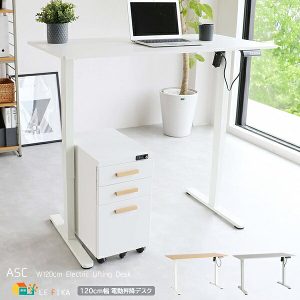 ưߥǥ 120cm ۥ磻 ʥۥ磻 ȥǥ  ȴ ⤵Ĵǽ ǥ󥰥ǥ ̵ʳ եǥ ش ...