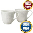 ナルミ 【Bridal Gift】ホニトン・レース マグカップ(ブライト) 350cc 2人用 電子レンジ温め 食洗機対応 (51952-23245) 送料無料...