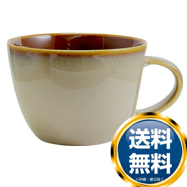 ʥ 饹ƥå ץΥå() 249cc (LZ303-RT1407133) ̵ ֥ ο   襤  ...