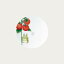 ノリタケ となりのトトロ 野菜シリーズ 15.5cmプレート（トマト） ブランド 高級 洋食器 引き出物 贈り物 ギフト プレゼント 結婚祝い 出産祝い 内祝い 新築祝い