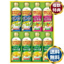 日清ヘルシーオイルギフトセット 送料無料 香典返し 返礼品 贈答品 ギフト ギフトセット 詰め合わせ 手土産 高級 話題 人気 おすすめ