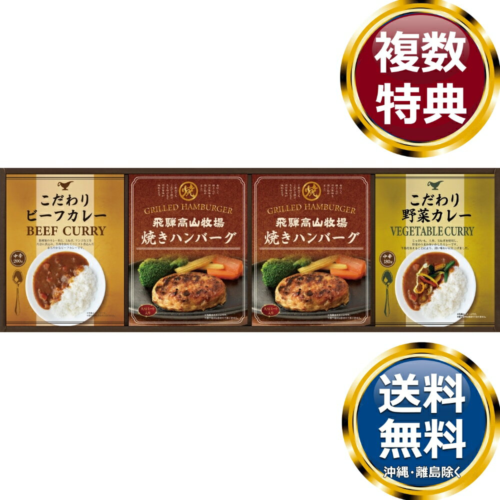 飛騨高山牧場 焼きハンバーグ＆こだわりカレーセット 送料無料 香典返し 返礼品 贈答品 ギフト ギフトセット 詰め合わせ 手土産 高級 話題 人気 おすすめ