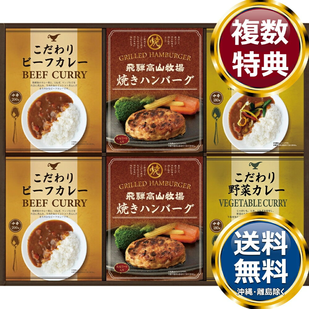 飛騨高山牧場 焼きハンバーグ＆こだわりカレーセット 送料無料 香典返し 返礼品 贈答品 ギフト ギフトセット 詰め合わせ 手土産 高級 話題 人気 おすすめ