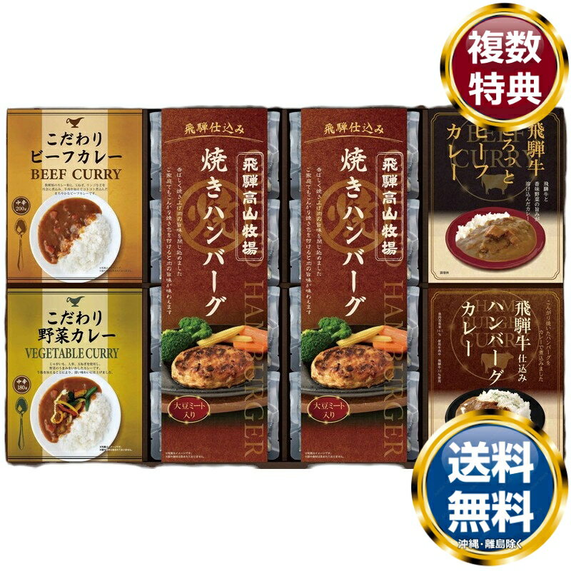 飛騨高山牧場 焼きハンバーグ&こだわりカレーセット 送料無料 香典返し 返礼品 贈答品 ギフト ギフトセット 詰め合わせ 手土産 高級 話題 人気 おすすめ