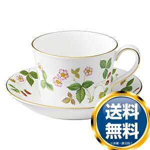 åå WEDGWOOD 磻ɥȥ٥꡼ ƥåס ǥե ̵ ֥ ο   ʤ  襤   ͵  ʪ ǥ󥰥ե ֥饤륮ե