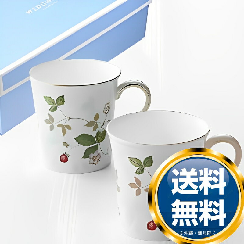 ウェッジウッド WEDGWOOD ワイルドストロベリー パステル ビーカー グリーン＆ピンク ペア（ブランド箱入リ）