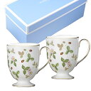 ウェッジウッド WEDGWOOD ワイルド・ストロベリー フッティドマグ リー 300ml ペア