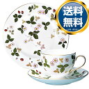 EFbWEbh WEDGWOOD ChXgx[ fU[gM(18cm)Zbg  uh mH   i  킢 _ b lC  o EFfBOMtg uC_Mtg