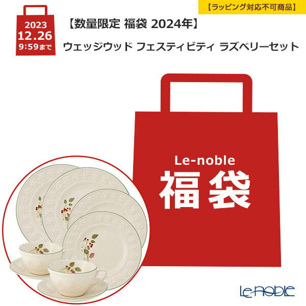 【数量限定 福袋 2024年】ウェッジウッド フェスティビティ ラズベリー 6点セット 2人用 プレート21cm・27cm ＆ ティーカップ＆ソーサー【ラッピング不可】 ウエッジウッド Wedgwood 結婚祝い 内祝い お祝い クリスマス プレゼント おしゃれ かわいい 食器 ブランド 出産祝いのサムネイル