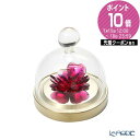【先着クーポン・P10】スワロフスキー Garden Tales ローズ ガラス鐘(S) SW5619223 22SS Swarovski 置物 オブジェ インテリア 実用的 実用品