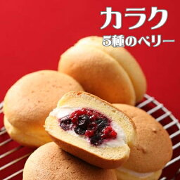 【期間限定】ルピノー 菓一座 カラク ブッセ チーズクリームと5種のベリーをサンド