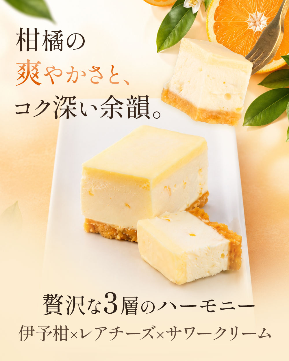レアチーズケーキ 詰め合わせ スイーツ ギフト ルピノー 伊予柑 レアチーズ 10個入 le-pineau-10000064 ジェラート 焼き菓子の店ルピノー サンプル画像2