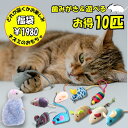 P2倍~7/20☆クーポン【猫の歯みがきおもちゃ】\10個入り/ 猫用 歯磨き おもちゃ ネズミ 鼠 10個入り デンタルケア オーラルケア おもちゃ 飽きない 留守番 一人遊び ひとりで遊べる 子猫 シニア キャットニップ ストレス 運動不足 詰め合わせ 保護猫 寄付 ギフト