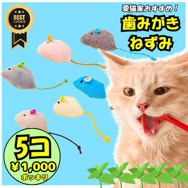 【今なら＋1個プレゼント】＼5個で千円ポッキリ／ 猫 おもちゃ ねずみ 歯磨き 歯石 口臭 予防 オーラルケア デンタル おもちゃ 一人遊び 運動不足 ストレス 飽きない 留守番 ひとりで遊べる 齧る 噛む 舐める キャットニップ プレゼント