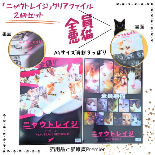 【送料込み】猫雑貨 「ニャウトレイジ 全員悪猫」 A4 クリアファイル 猫 ねこ ネコ 文具 ステー ...