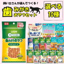 【最大P10倍〜5/16】\10袋選べる/ 猫 歯みがき おやつ 獣医師推奨 PETKISS プラクト ちゅーる 歯磨き はみがき デンタルケア 飽きない オヤ...